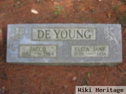 Eliza Jane Stevens De Young