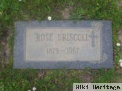 Rose Driscoll