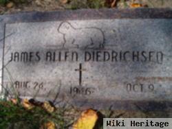 James Allen Diedrichsen