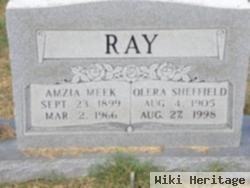 Amzia Meek Ray