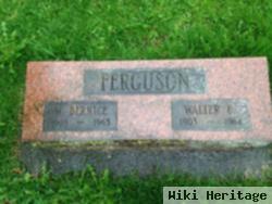 Walter E Ferguson