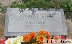 Catherine Marie Faltisek