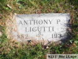 Anthony P Ligutti