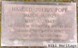 Harold Julius Pope