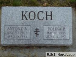 Antony N Koch