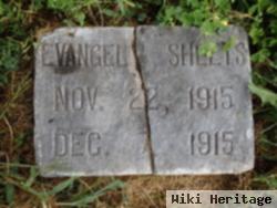 Evangeline L. Sheets