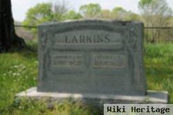 Mary Tennessee "mollie" Larkins Larkins