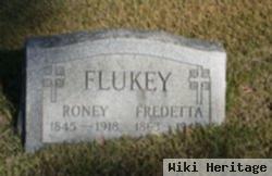 Roney Flukey