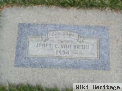 Janet E Van Brunt