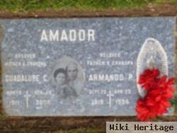 Armando Pe A Amador