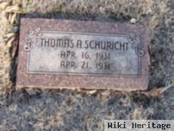 Thomas A Schuricht