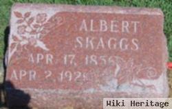 James Albert Skaggs