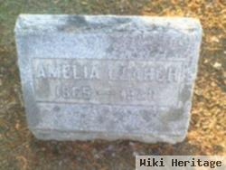 Amelia Learch