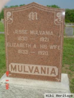 Elizabeth Ann Constable Mulvania