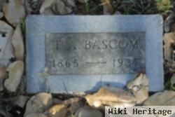 T. A. Bascom