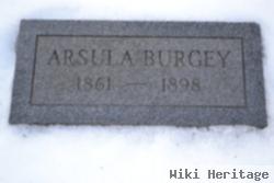 Arsula Burgey