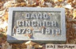 David M Gingrich