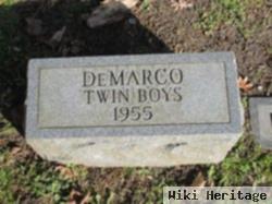 Twin Boys Demarco