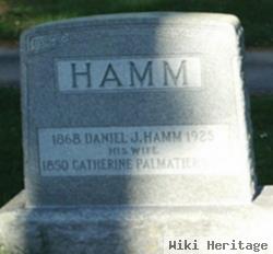 Daniel J Hamm