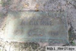 Joe Ella Haygood Young