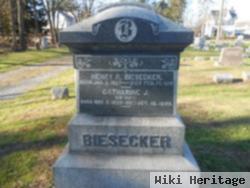 Catharine J. Edinger Biesecker