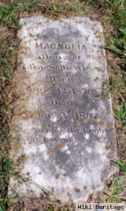 Magnolia Webb