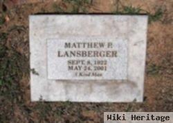 Matthew P Lansberger