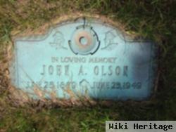 John A. Olson