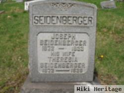 Joseph Seidenberger