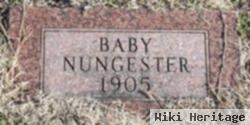 Baby Nungester