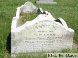 Annie K Lyons