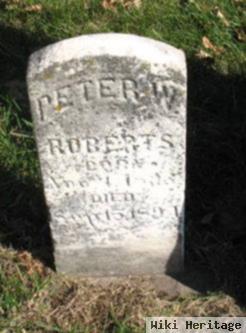 Peter W Roberts