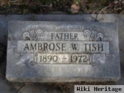 Ambrose Welker Tish