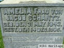 Amelia Schramm Schantz