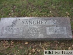 Luis Alvarez Sanchez