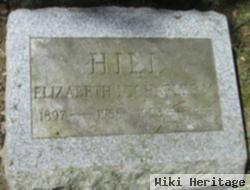 Elizabeth N Hill