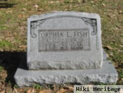 Orphia L. Fish