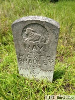 Ray Bradley