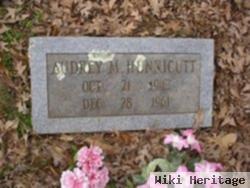 Audrey M Hunnicutt