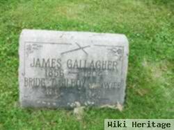 Bridget Gilboy Gallagher