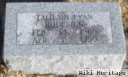 Taliesin Evan Roderick