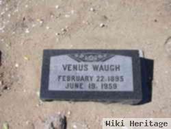 Venus Waugh