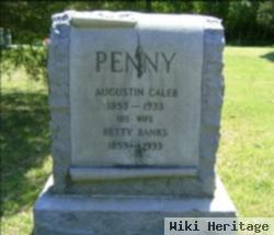 Augustin Caleb Penny