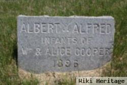 Albert Alfred Cooper