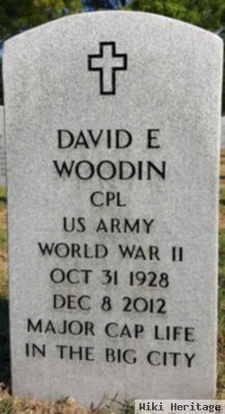 David E Woodin