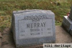 Theresa S Murray