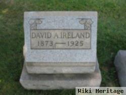 David A Ireland