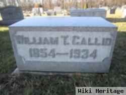 William Trout Callio