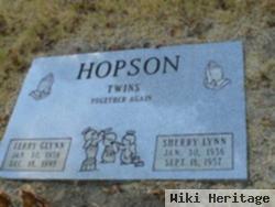 Terry Glynn Hopson