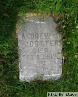 Andrew Cotter